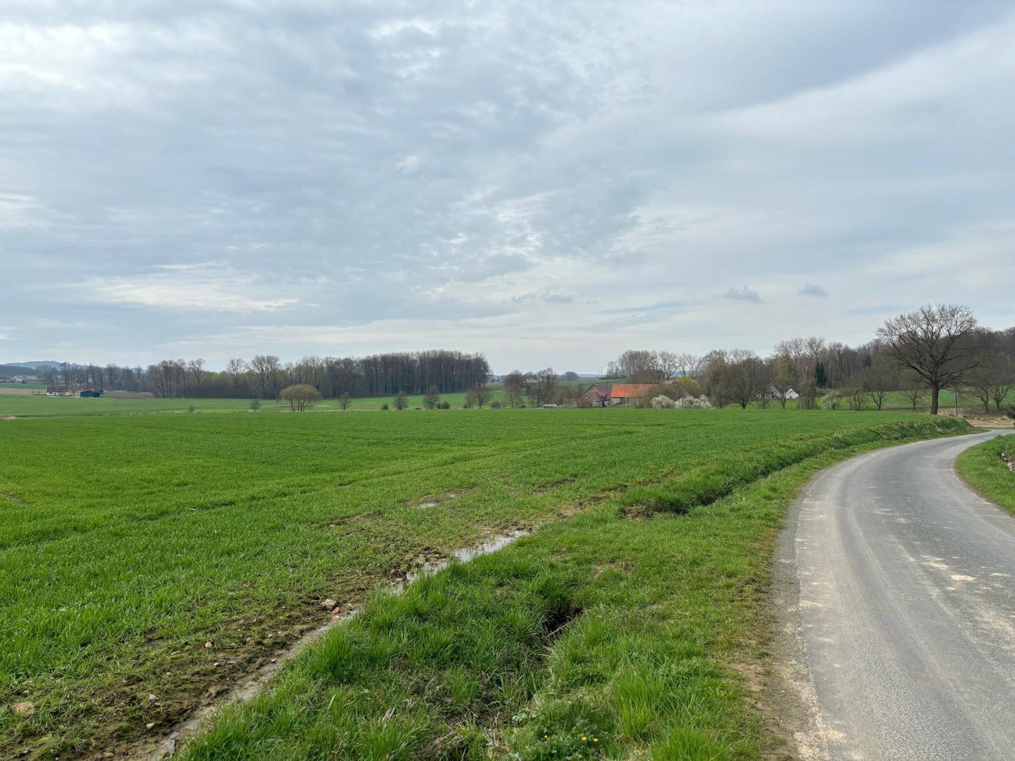 Scheunenwohnung In Der Natur Melle Eksteriør billede